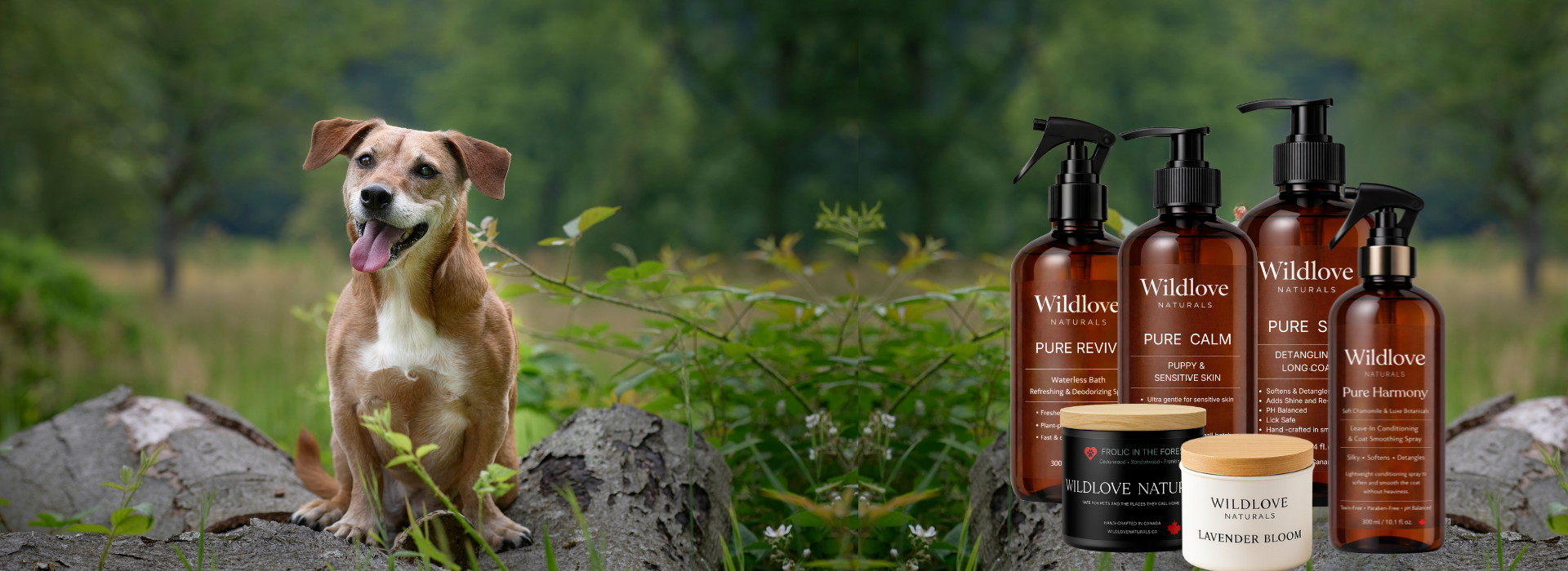 wildlove dog grooming. Canadian made shampoo and pet safe candles on a rock with a dog outside